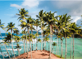 Mirissa Beach