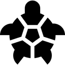 Turtle icon