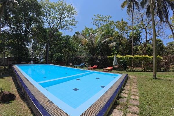 Infinity Pool Paradise